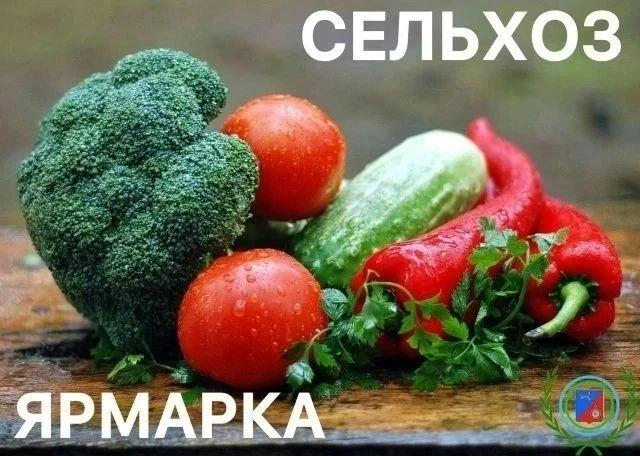Праздничная осенняя Ярмарка в Калининском районе Уфы