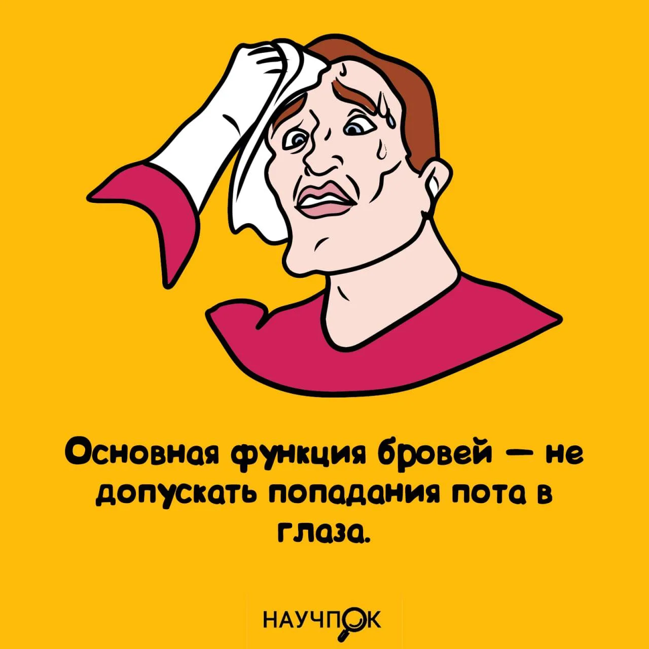 Брови — анти-пот для глаз 👁️