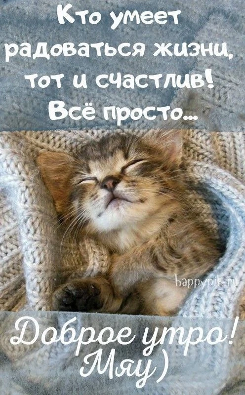 Открытки: подписаться ❤️