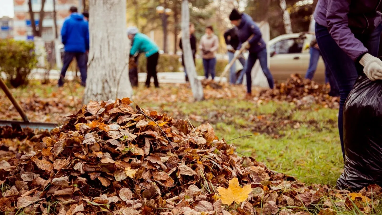 Уважаемые жители посёлка Ханымей!