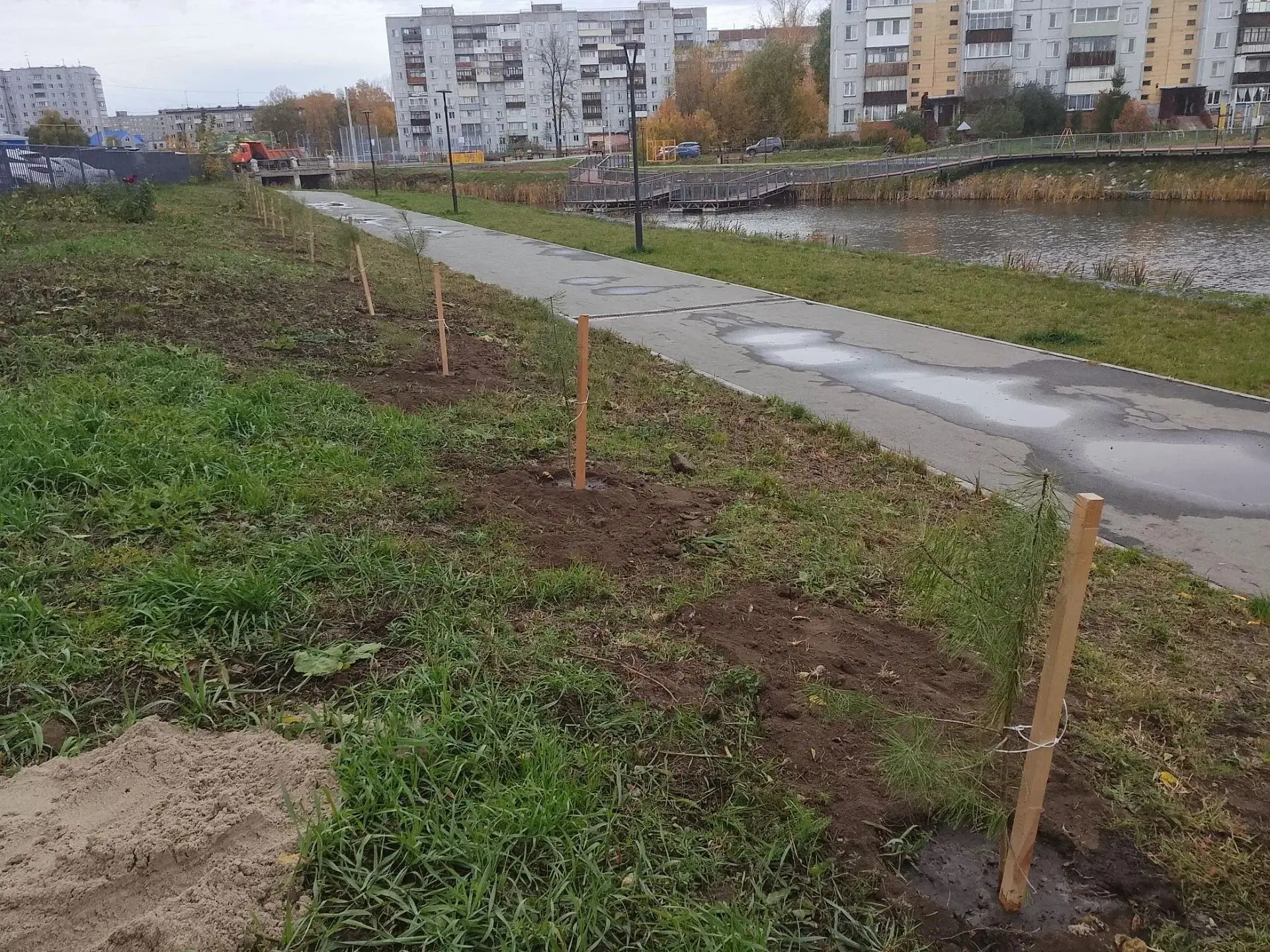 Озеленение города Оби продолжается.