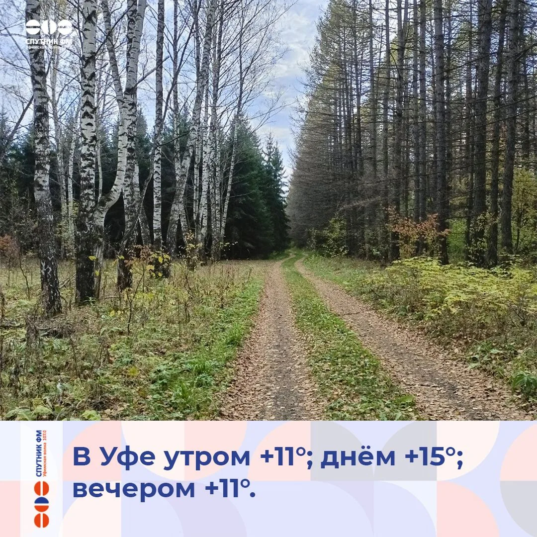 Сегодня День Республики Башкортостан, День вдыхания осеннего воздуха и День работников ...