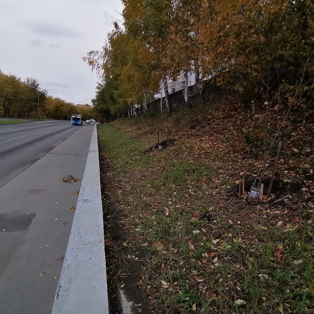 На МЖК *Восточный* на этой неделе в муниципальной озелененной территории возле ул. Лазу...