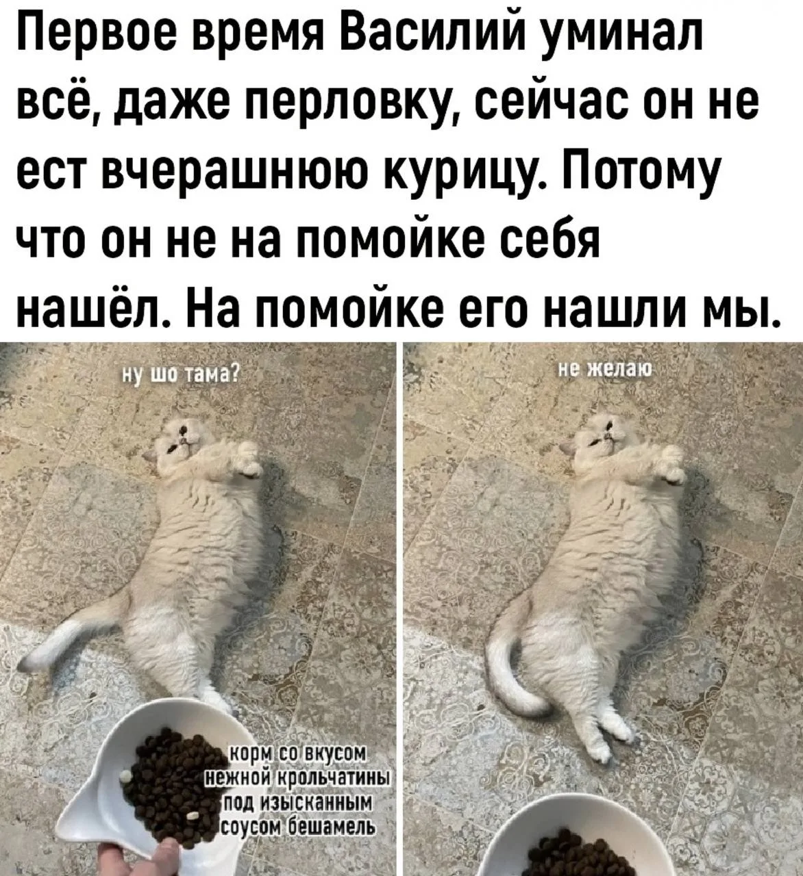 ВИШНЯ 🍒