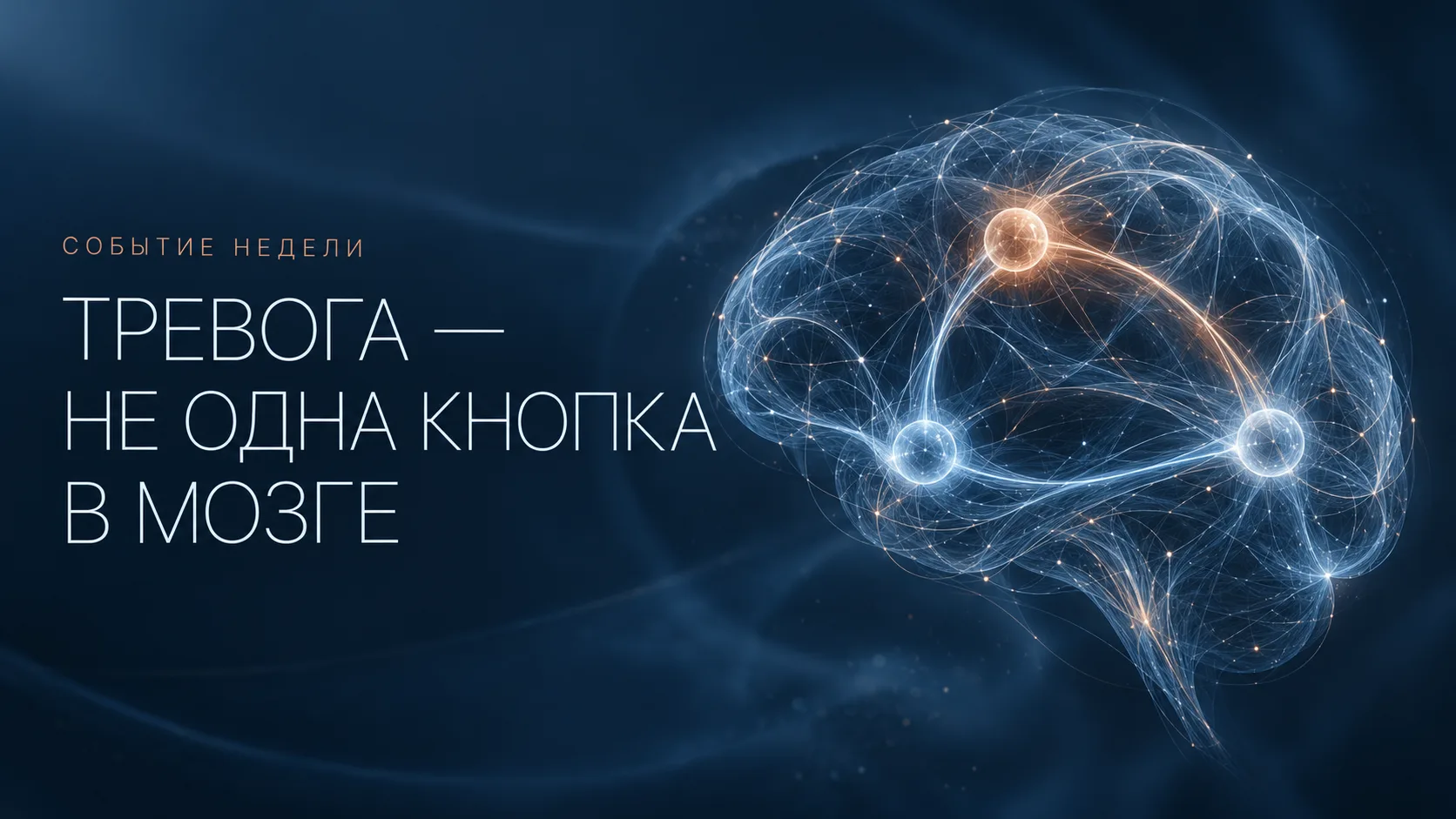 Тревога - не одна кнопка в мозге