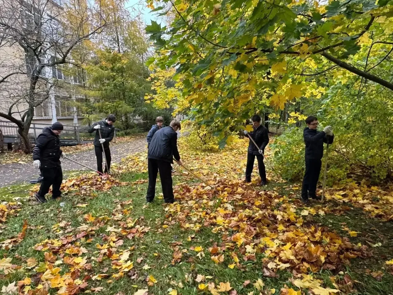 🍂 8б класс — за чистоту!