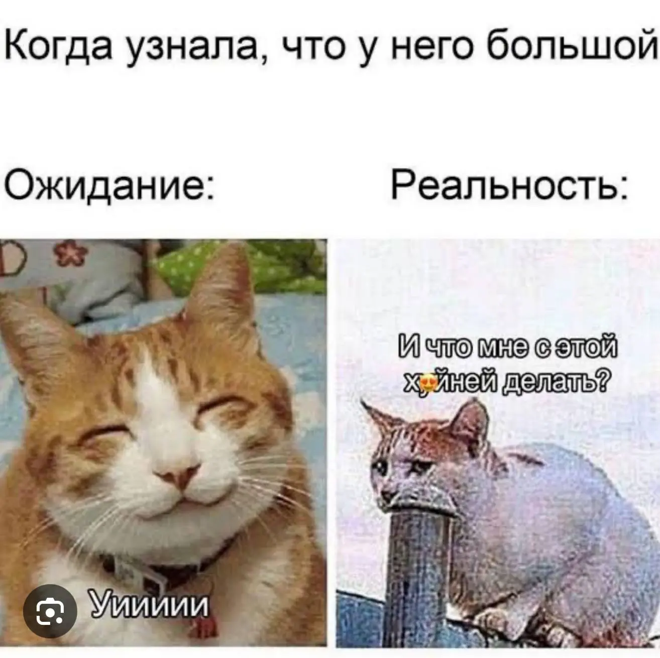 Другие наши каналы ❗