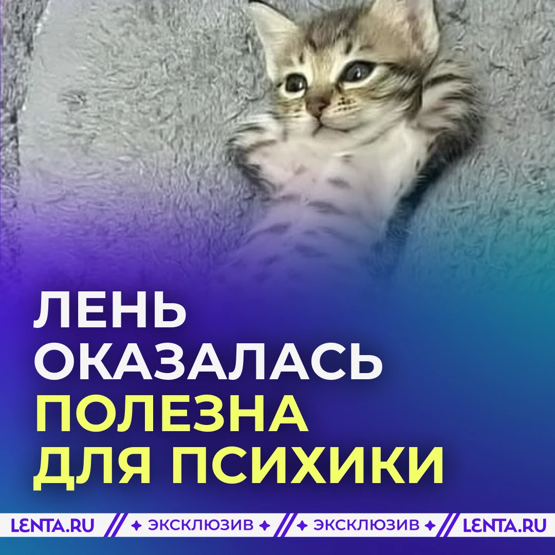 😌 Россиянам посоветовали лениться для здоровья.