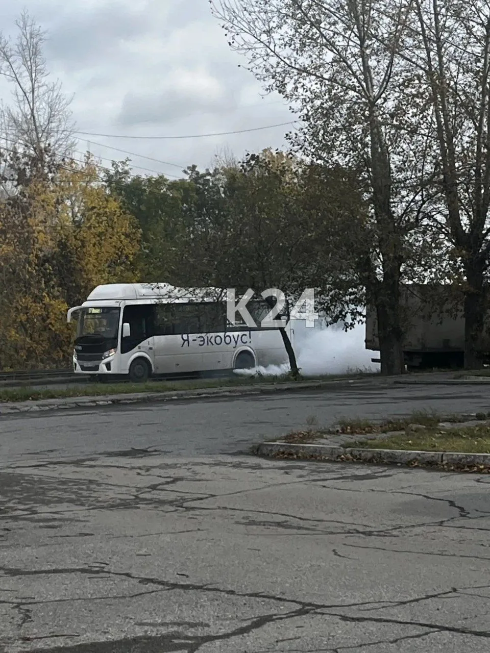Я — экобус. Я — экологично вышел из строя