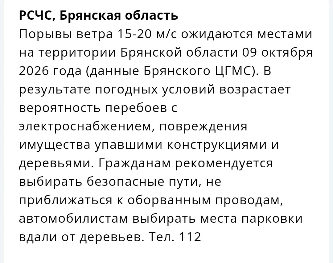 На Брянскую область надвигается сильный ветер. РСЧС предупреждает о резком ухудшении по...
