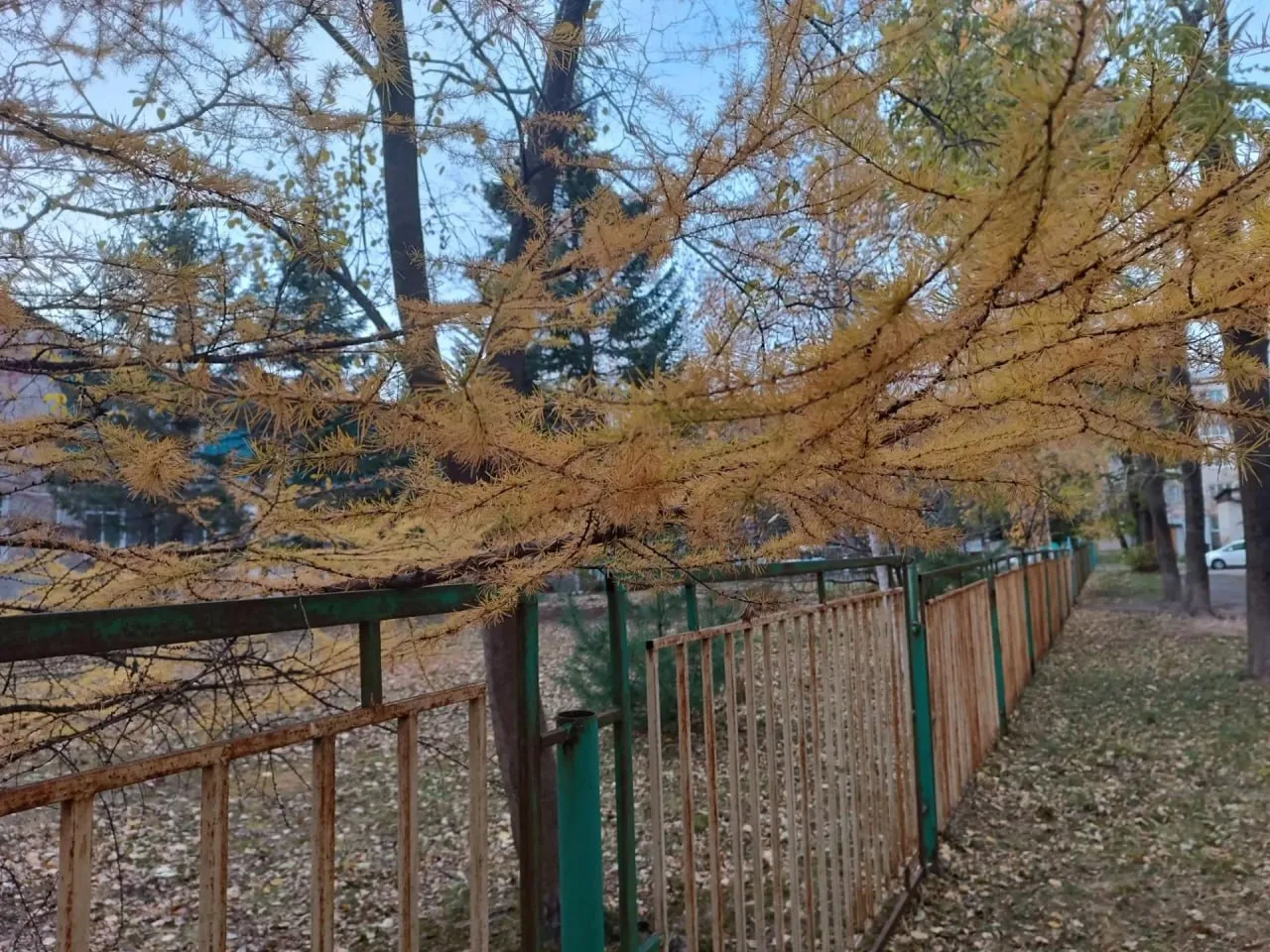 ☀️ Доброе утро, Еврейская автономная область и наши любимые подписчики!