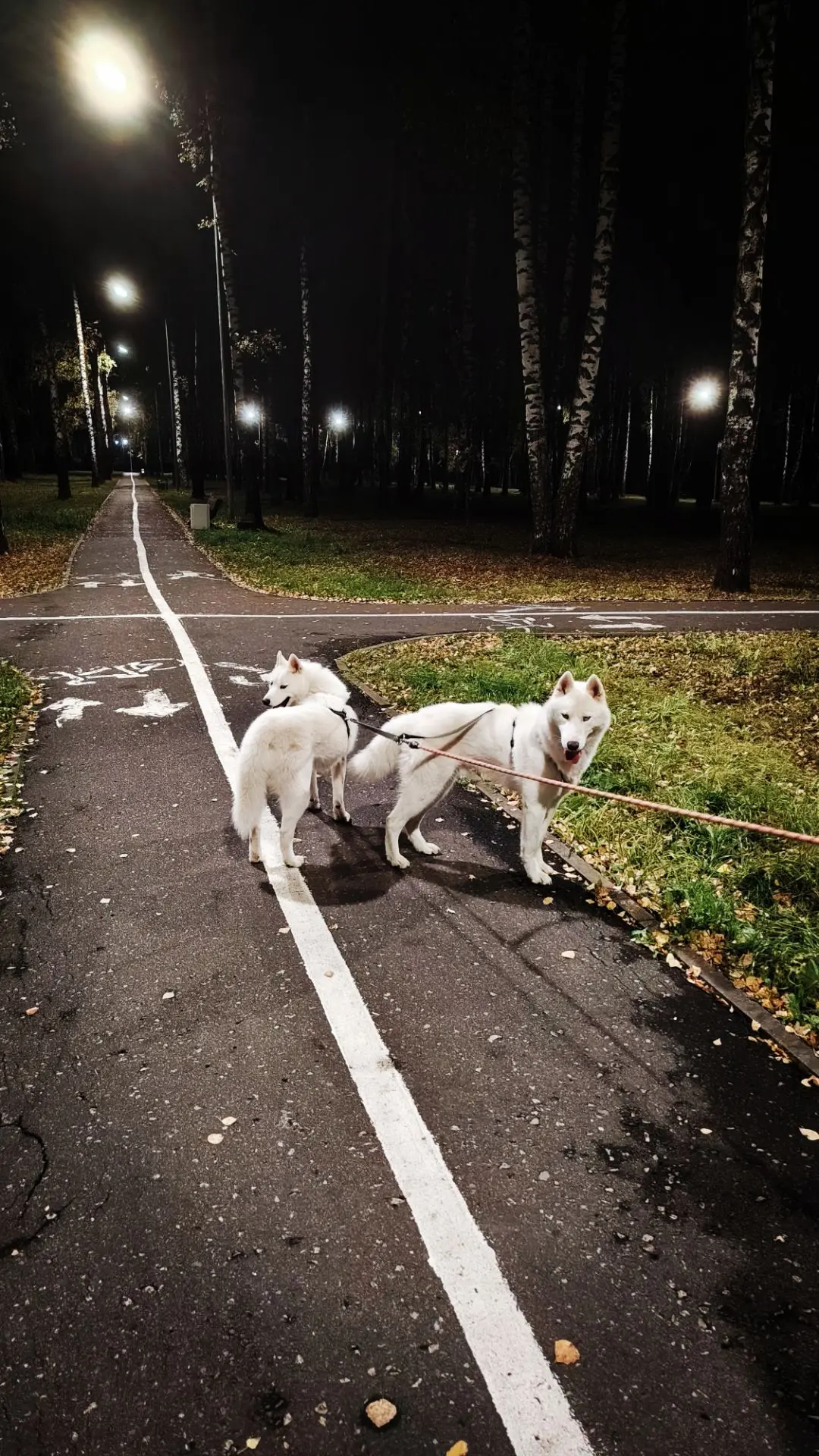Night walk 🤍🤍