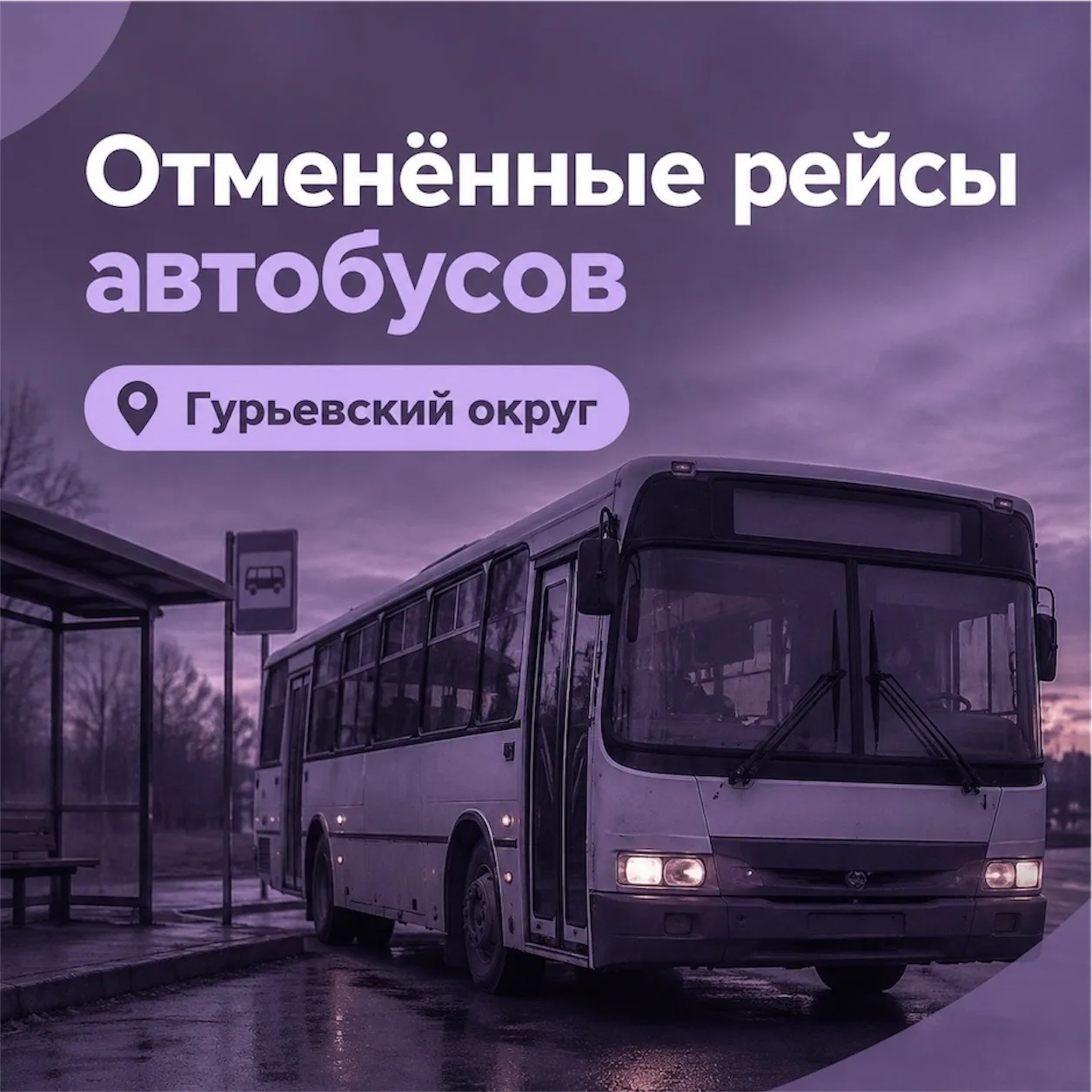 15 октября отмененных рейсов нет 🚍