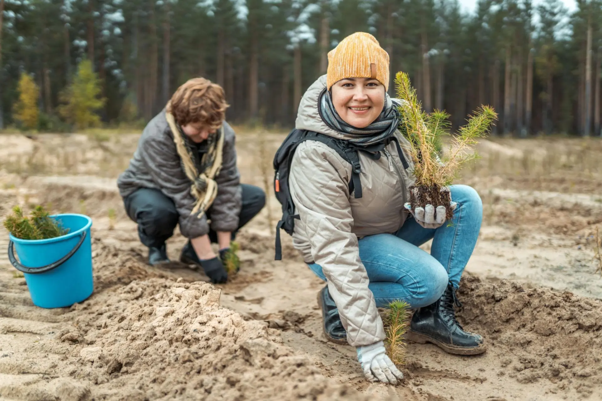 🌲 Две тысячи сосен — маленький шаг к большому лесу! 💚