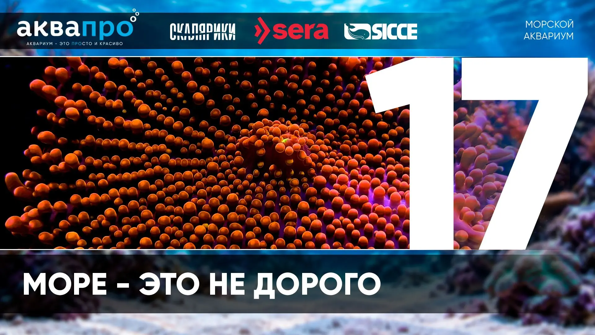 Фамилия Имя Отчество: Коршунов Сергей Александрович