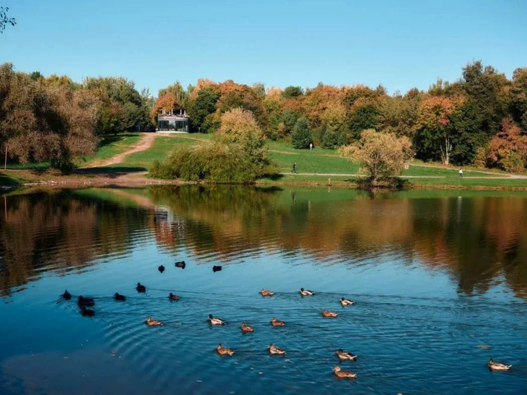 🦆 Осень укрывает парк Кузьминки-Люблино