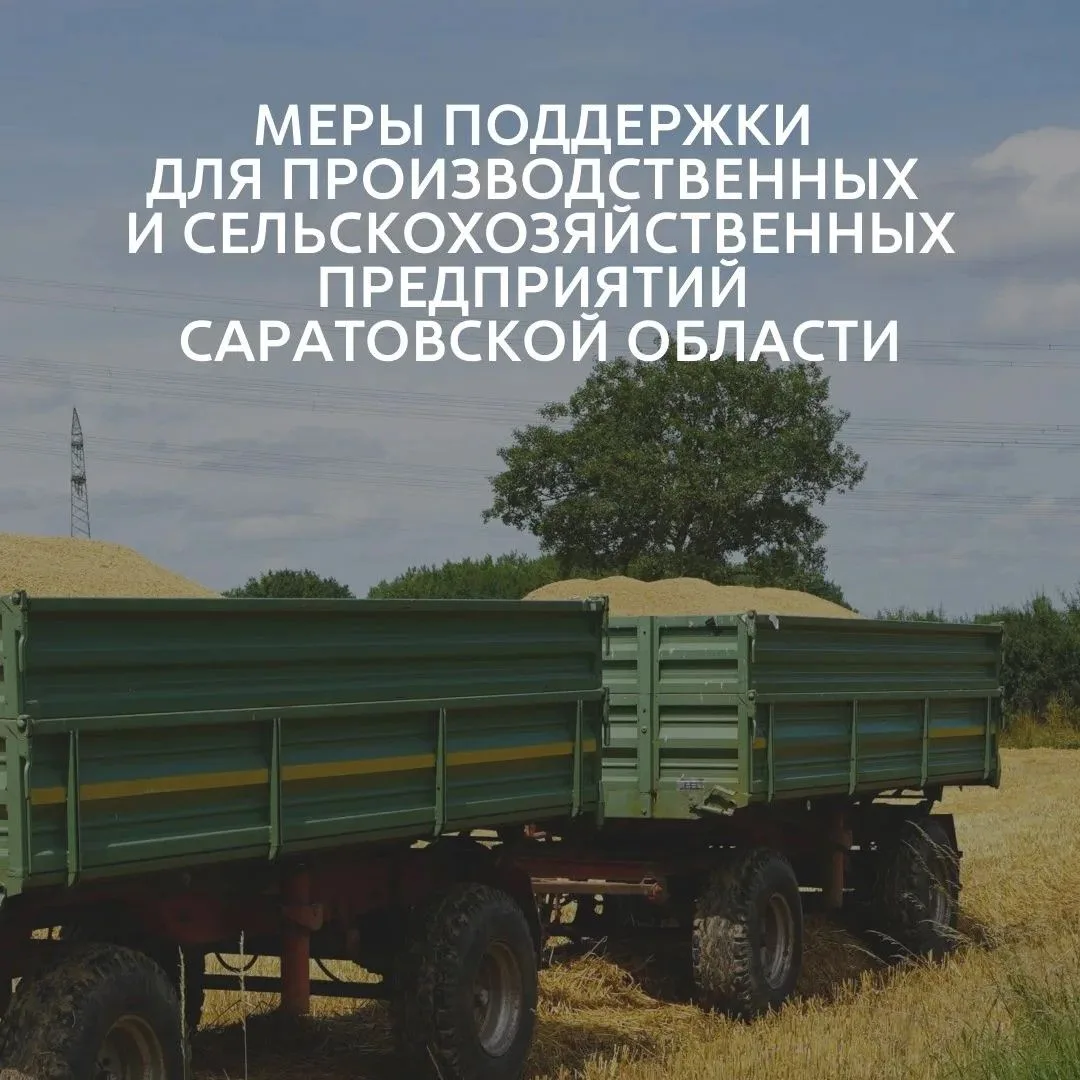 Получите поддержку для развития действующего бизнеса