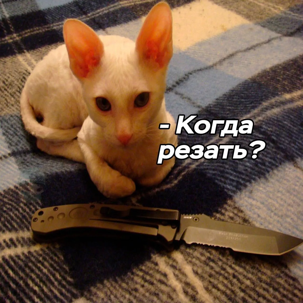 Терапевт: *обдумывает план лечения, изучает анамнез, рассматривает возможные осложнения...