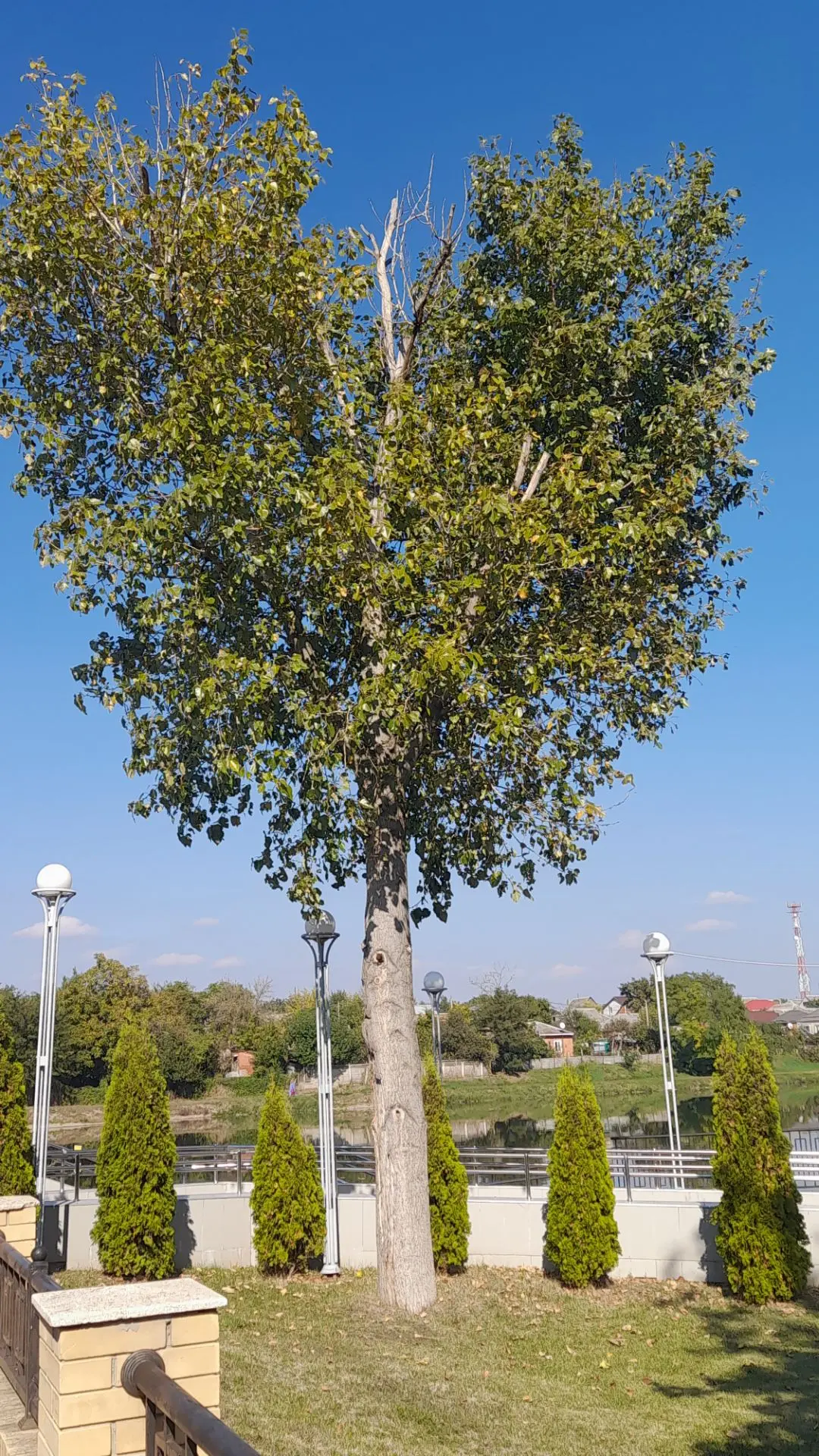 Доброе утро!