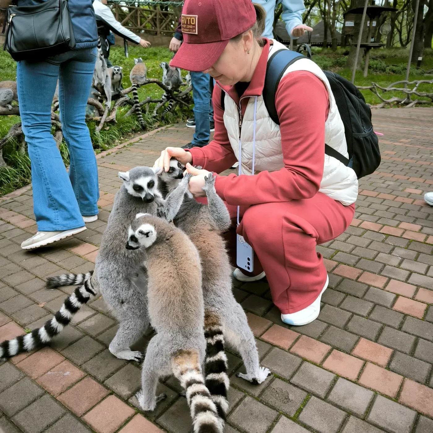 Написал статью про остров лемуров в шанхайском Wild Animal Park — том самом, где мы кор...