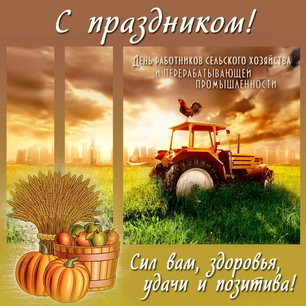 https://max.ru/invista123456