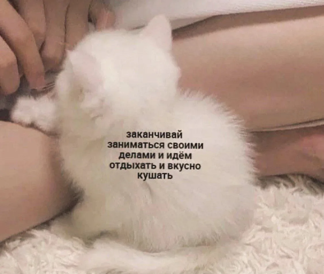 Перешли 😄
