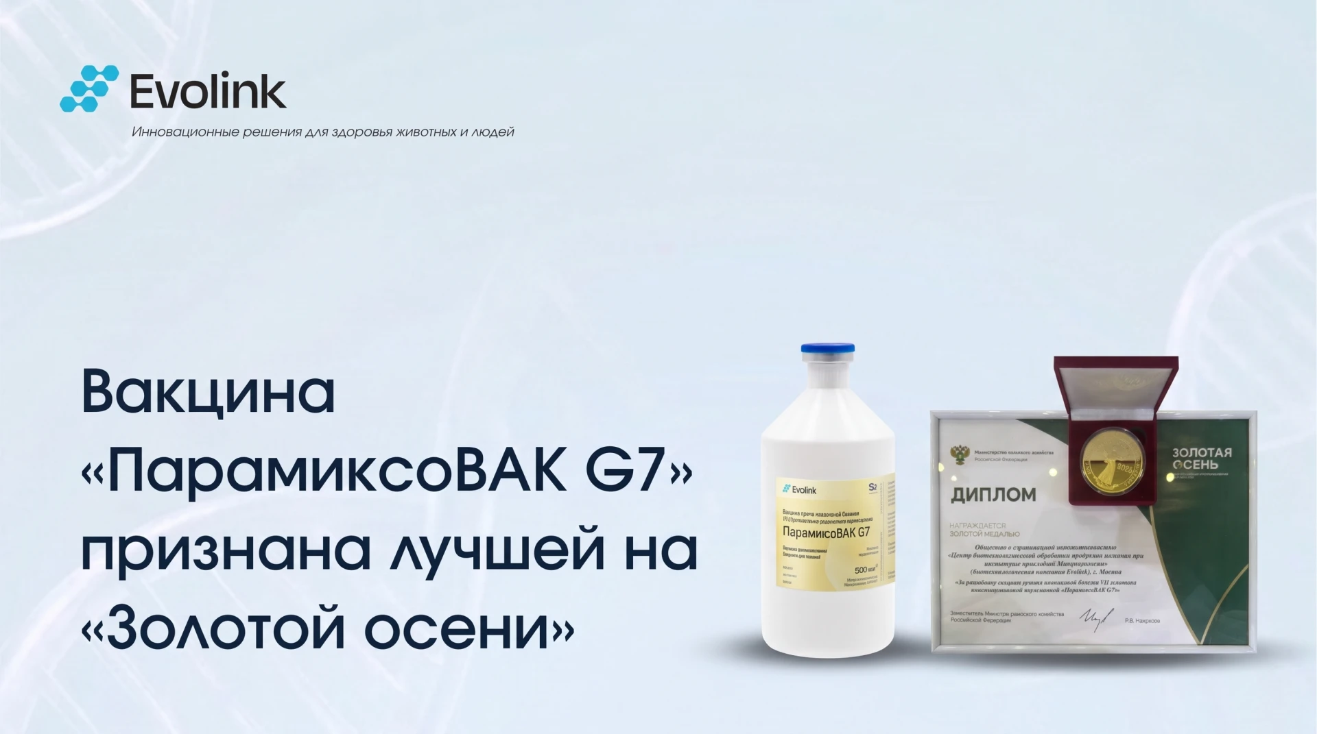 🥇 ЗОЛОТАЯ ОСЕНЬ: ЗАКЛЮЧИТЕЛЬНЫЙ АККОРД