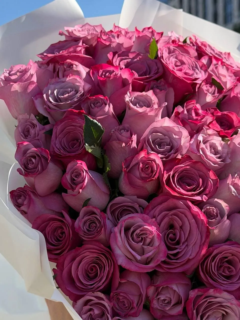 🌸 Акция на нежно-розовые розы
