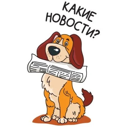 🏁 Финальная прямая: до каникул осталось всего 2 недели!