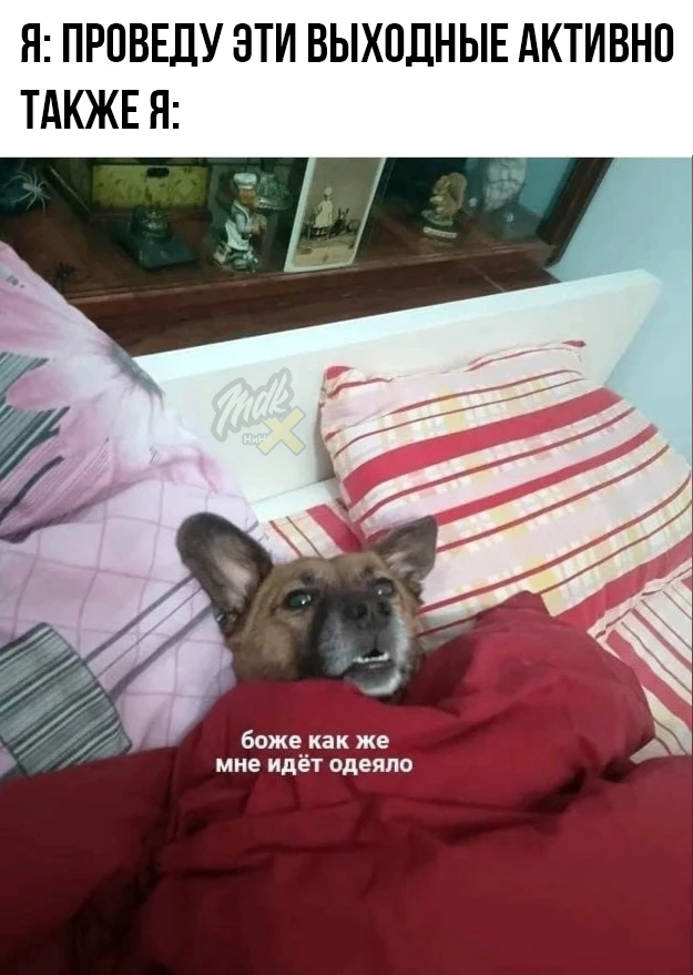 А вы как проводите выходные?