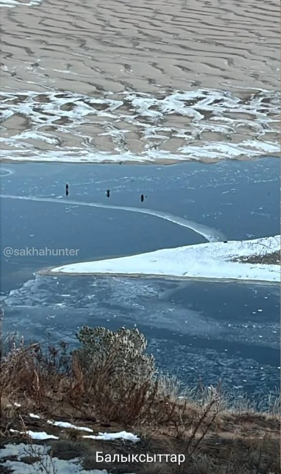 Якутия, мыс Кангаласский. Сезон твёрдой воды открыт.