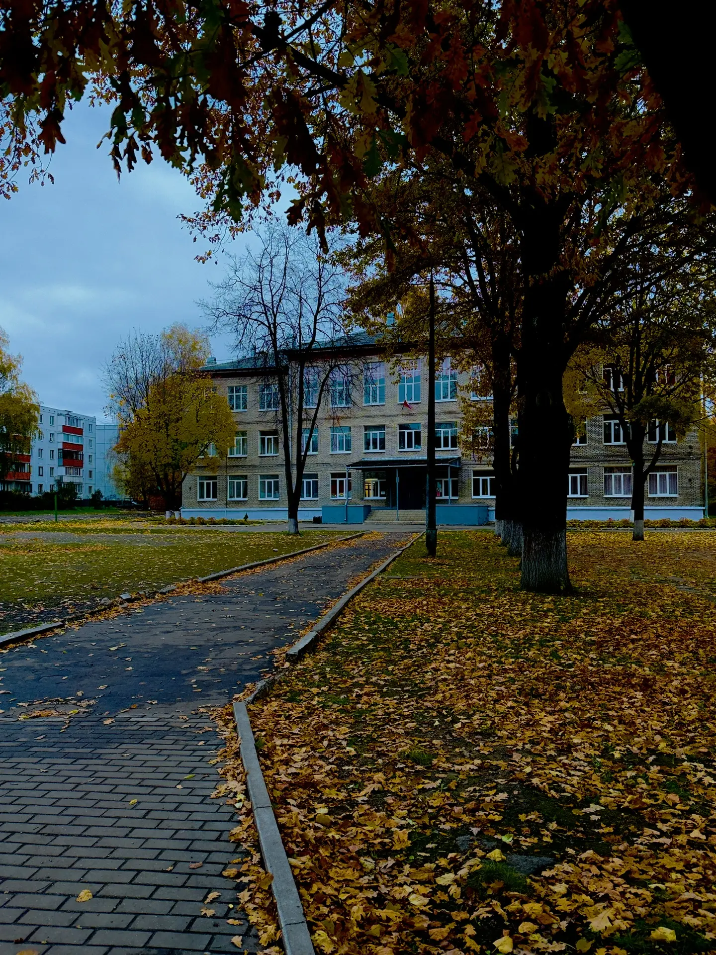 Доброе утро, друзья! 🍂❤️