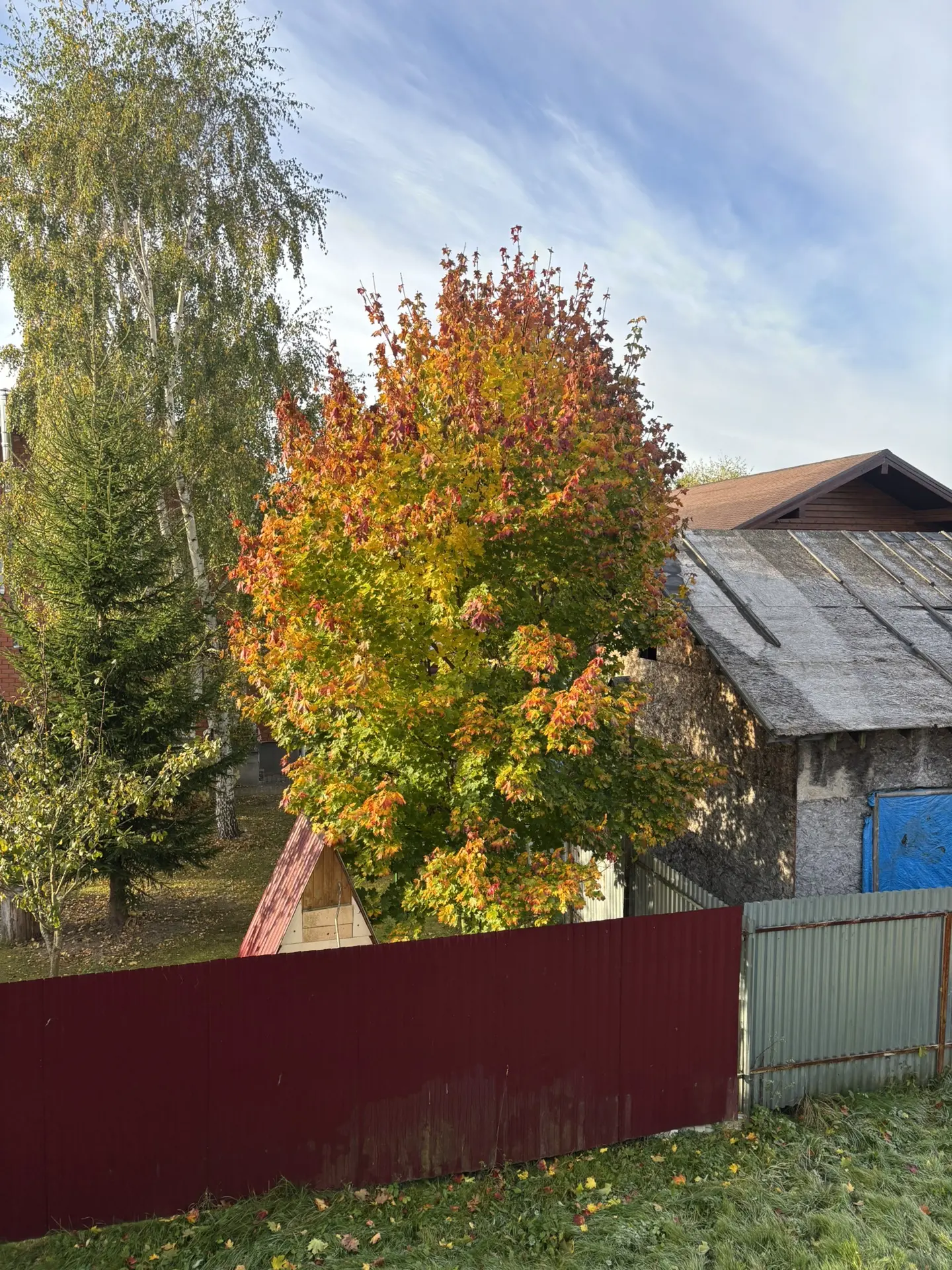 Доброго дня, дорогие мои. ☀️