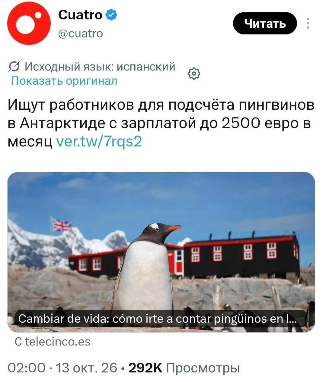 За подсчёт пингвинов в Антарктиде предлагают 230 тысяч рублей в месяц. Работодатель обе...