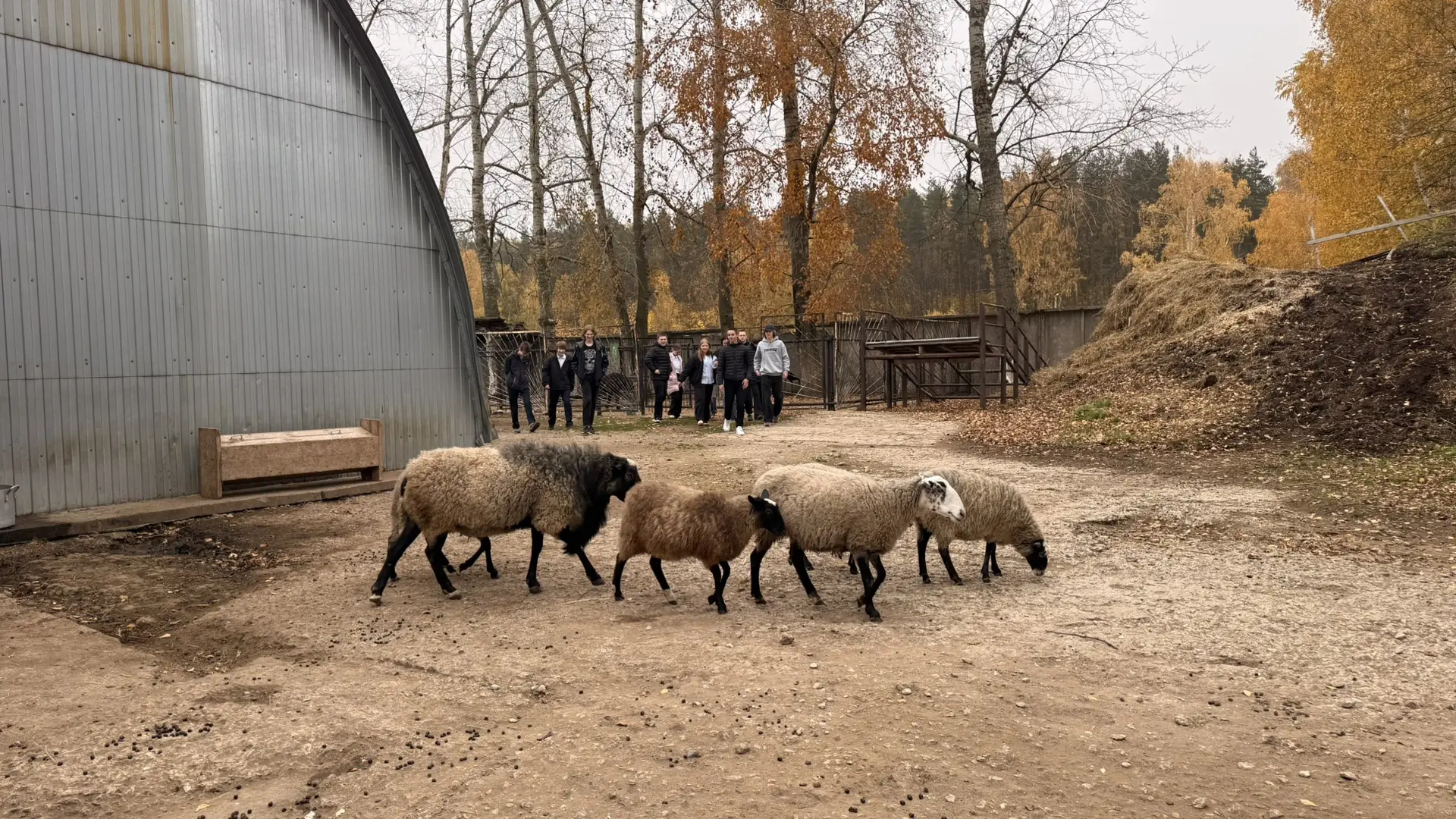 От школьного класса — к будущей профессии! 🐄🐓