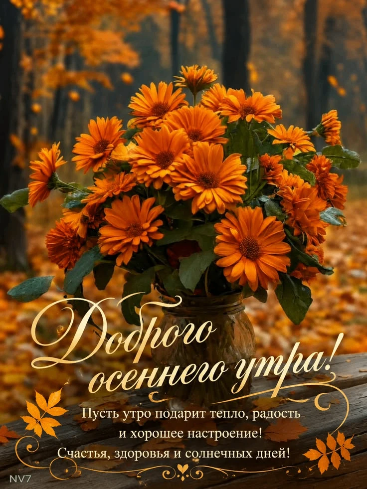 Открытки - отправь открытку❤️