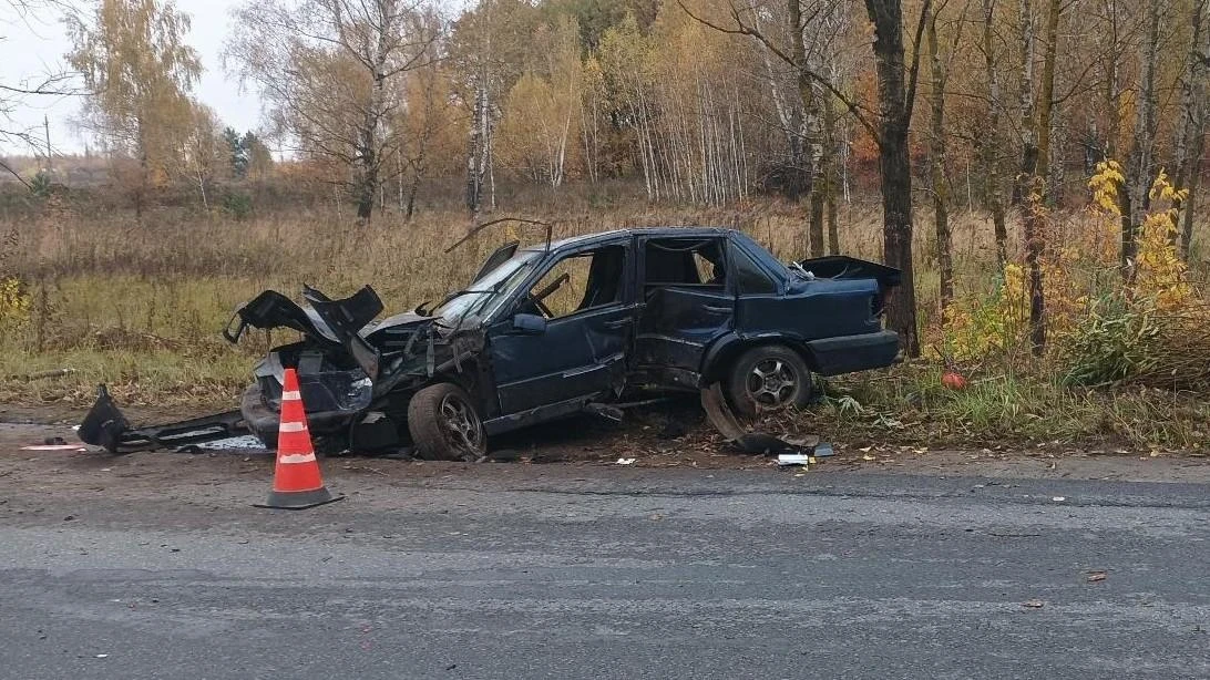 Молодой водитель врезался в дерево
