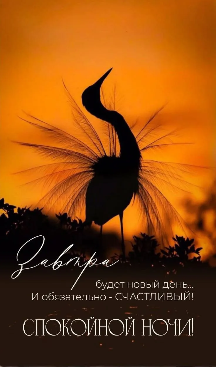 🥰 Оставляйте реакции, если понравилась открытка и делитесь с близкими ❤️