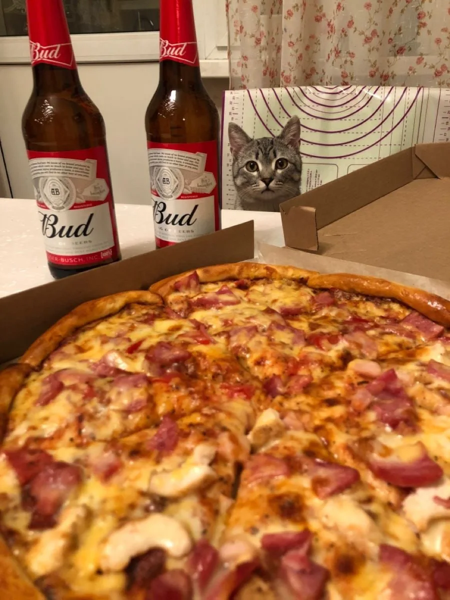🍕 Международный день пива и пиццы отмечается сегодня