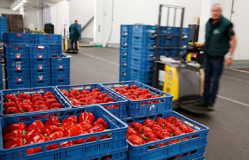 🥔💸Утильсбор на импортные овощи хотят ввести в России.