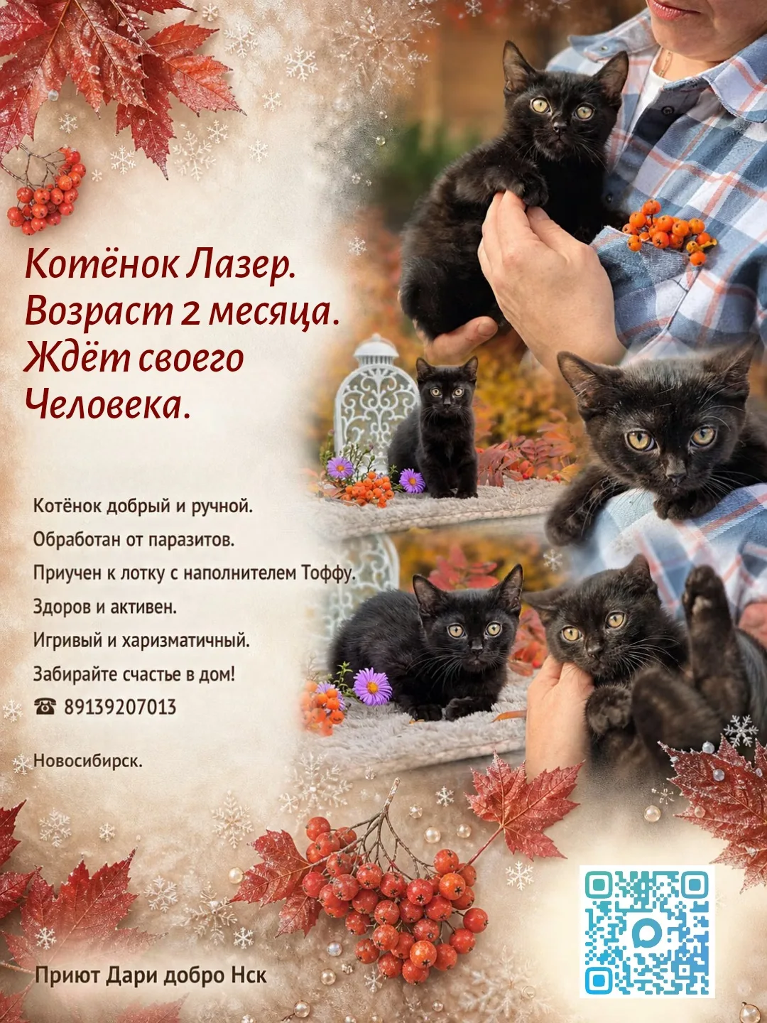Друзья пожалуйста ❤️ помогите пристроить котенка 🙏🙏🙏