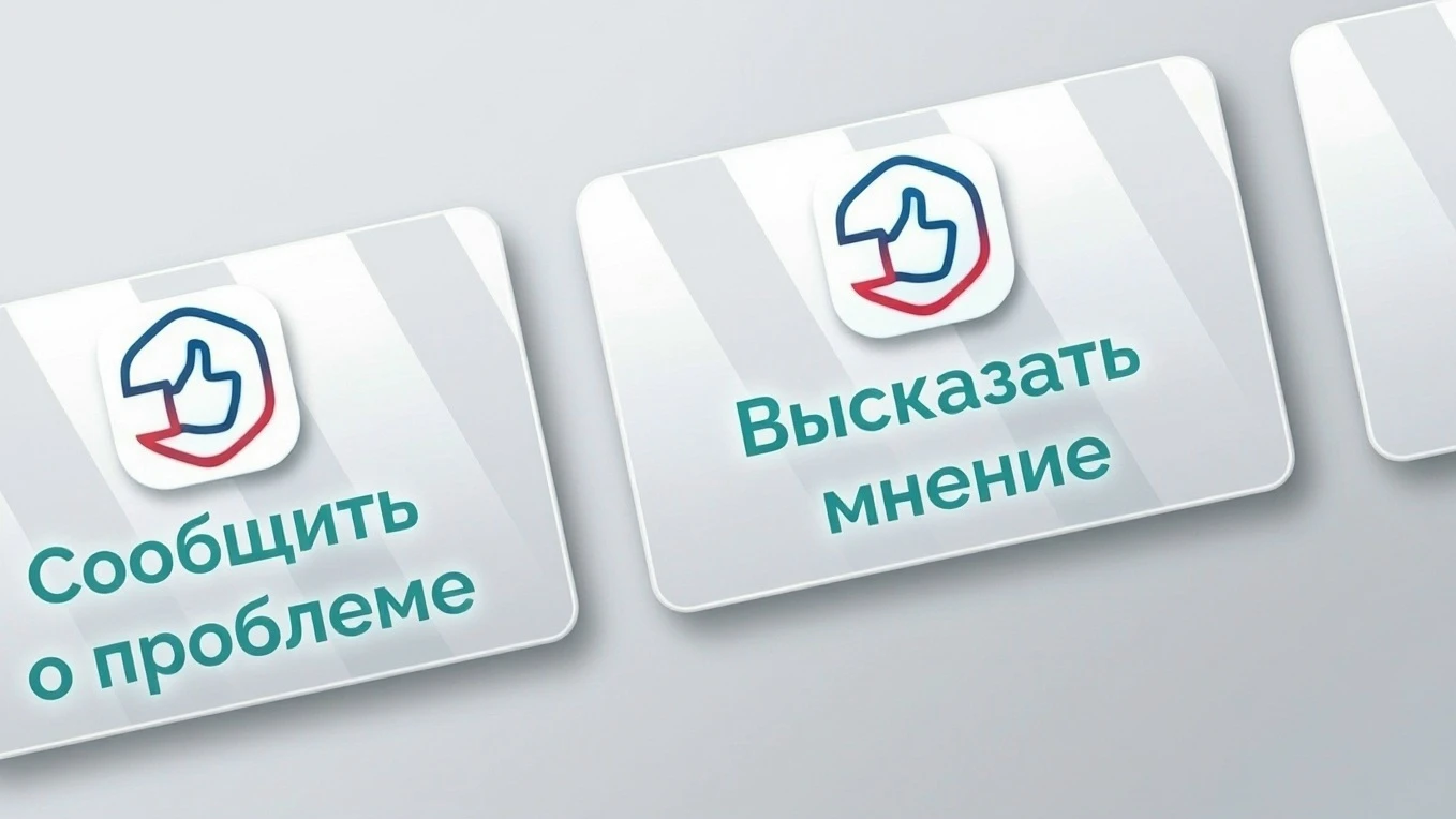 ✍Платформа обратной связи