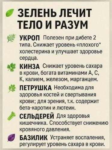 Полезные травы 🌿