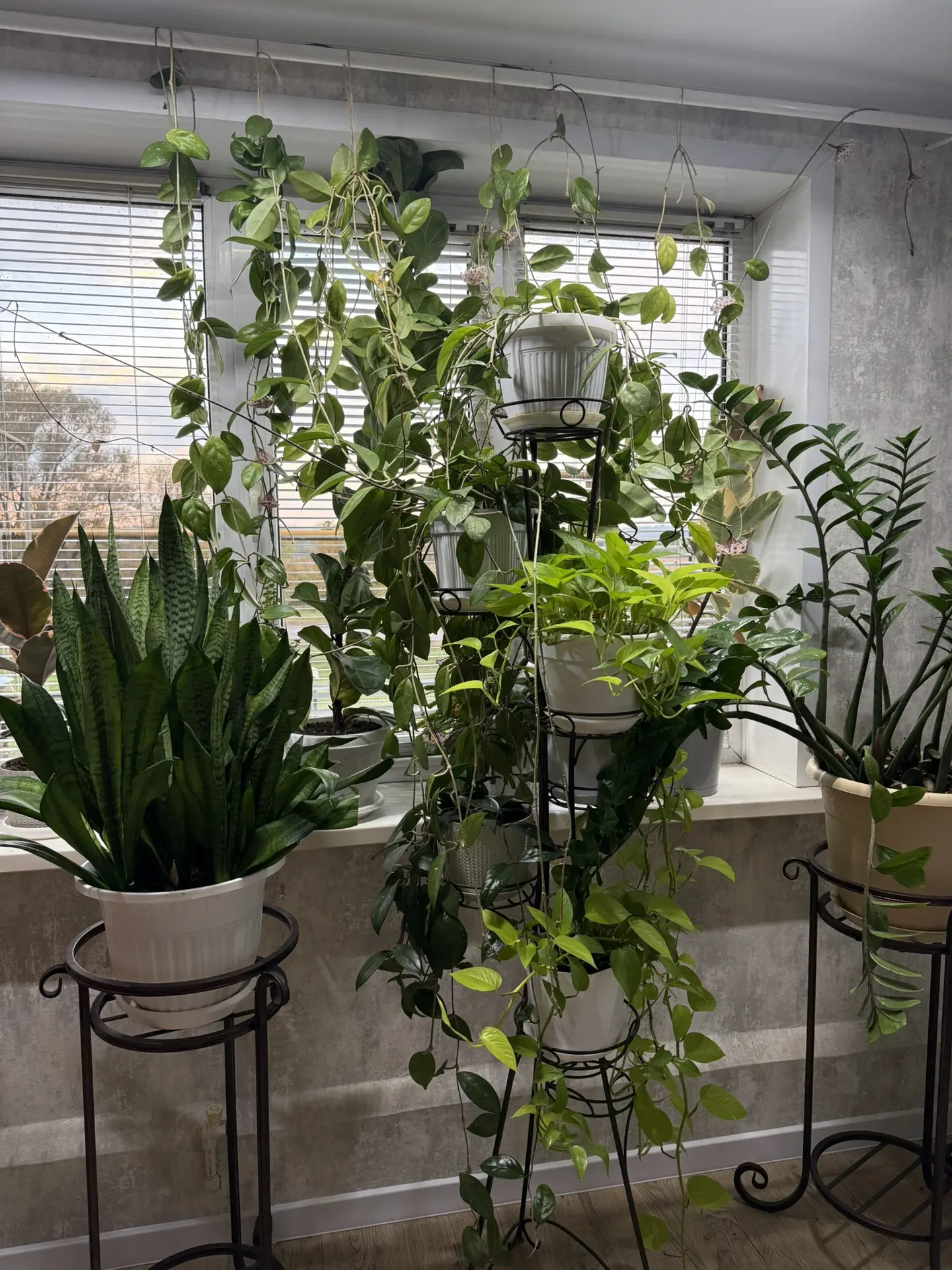 Друзья, вижу, вопросы про шторы на кухне🙂