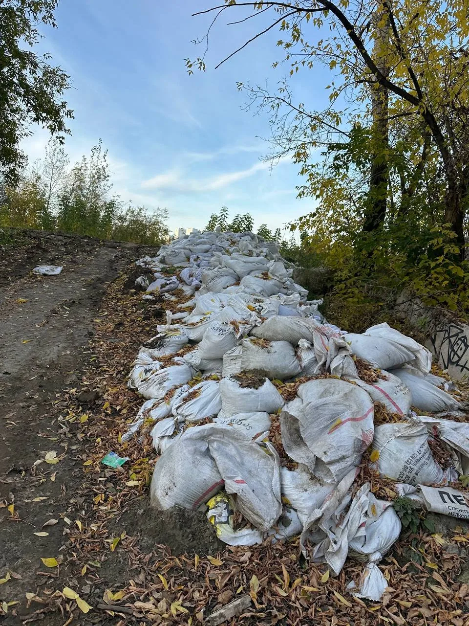 Всем здравствуйте .**Когда в Тюмени был паводок ,наш мэр ,вместе с волонтерами строили ...