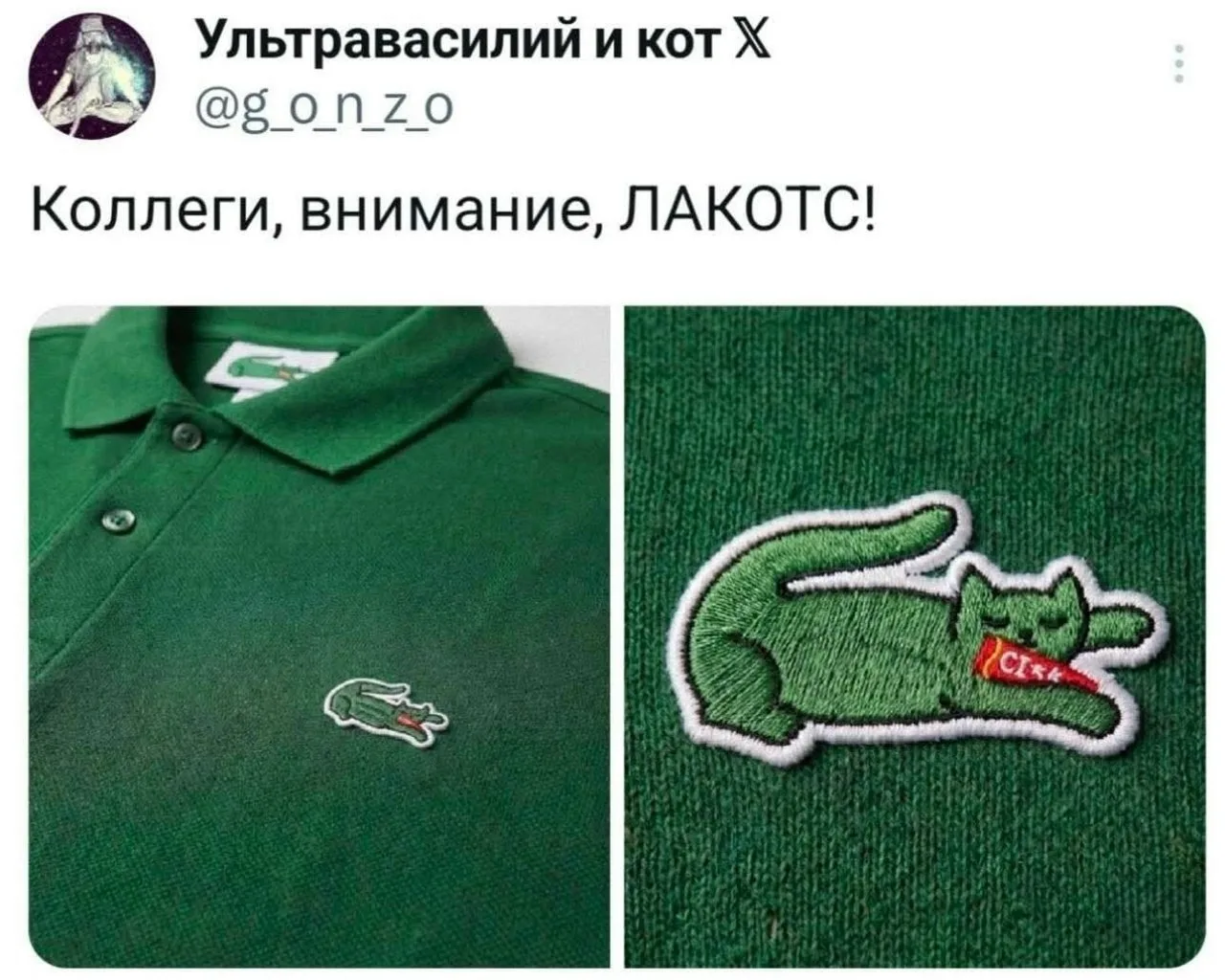 Добро пожаловать! Здесь коты ежедневно доказывают, что у них есть характер, чувство юмо...