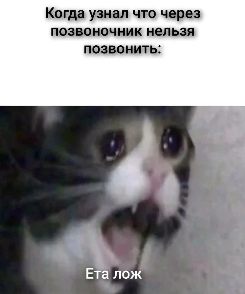 Теперь живите с этим