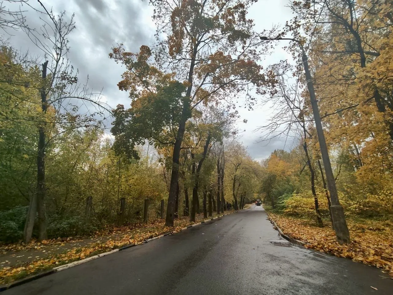 Осень в лучшем городе Земли 🧡