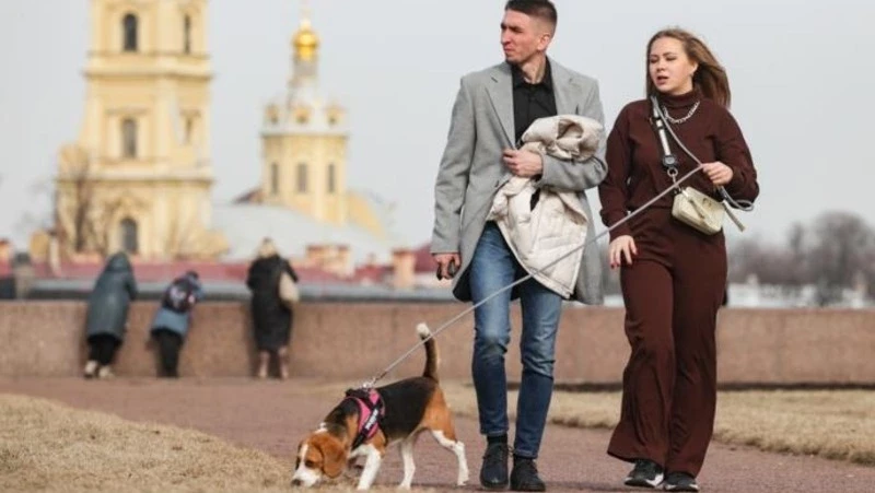 Россиянам назвали долю отелей, готовых принимать гостей с питомцами