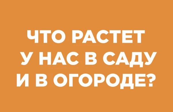 Добрые игры.                                                                           ...